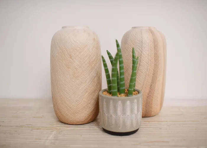 דירה Paradise בארי